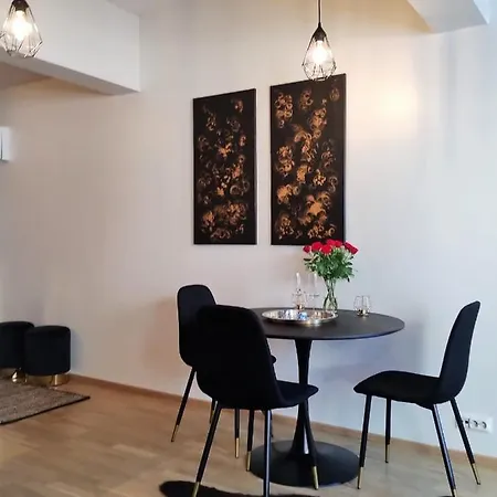 Black Swan - Own Sauna! Apartament *